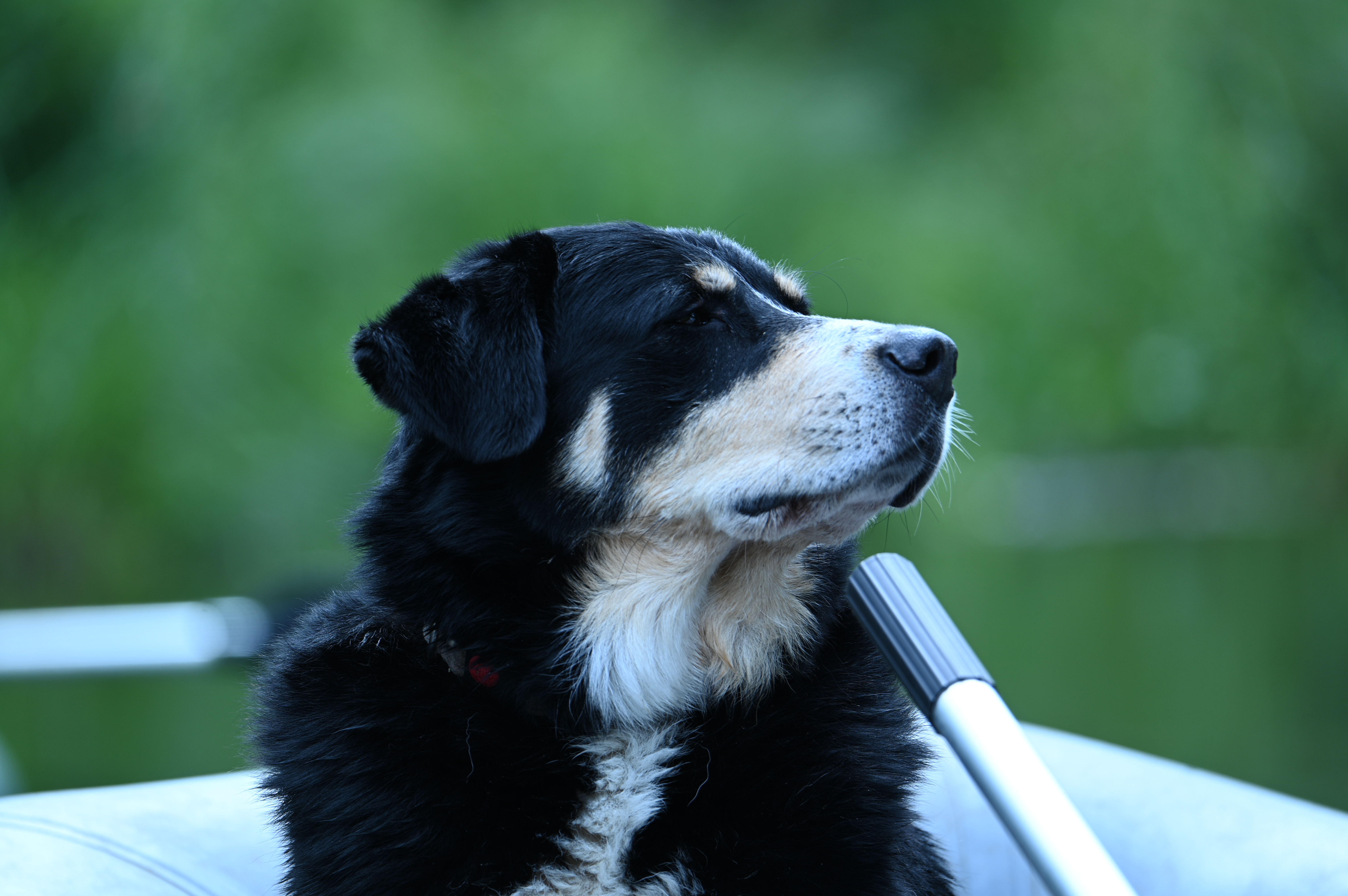 2025/07/09-14 - trip/DSC_0254.JPG